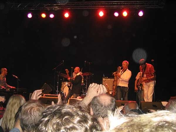 Åmåls Bluesfest 2005 16