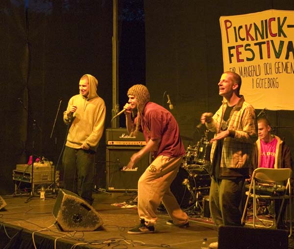 Picknickfestivalen 2006 42