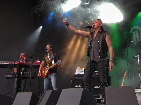 Rockviken 2013